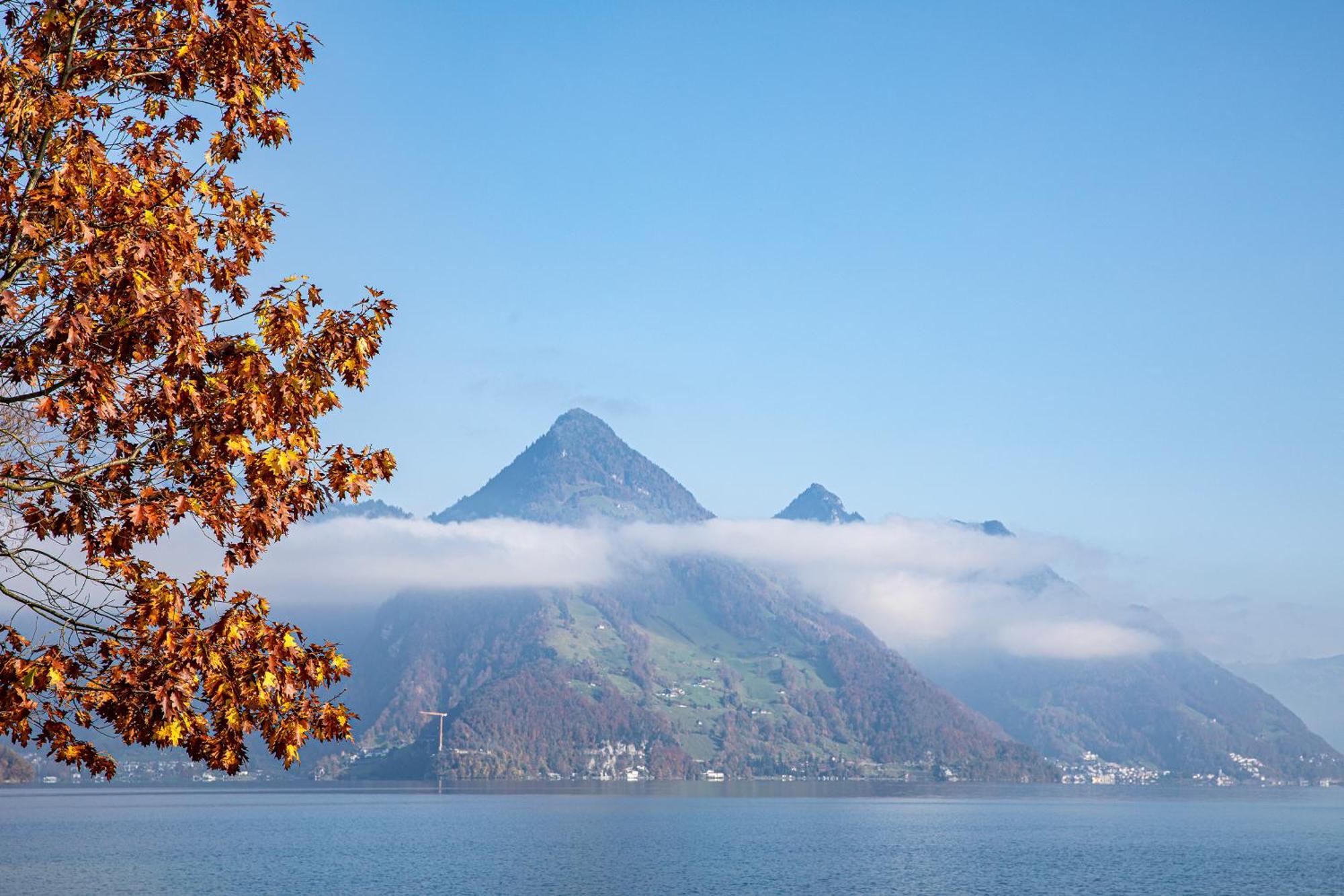 Rigiblick Am See Buochs Kültér fotó
